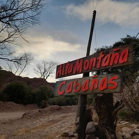 Alta Montana Cabanas Hotell Tilcara Exteriör bild